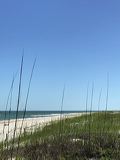 img_3036