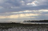 img_8457