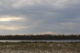 img_8459