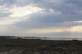 img_8462