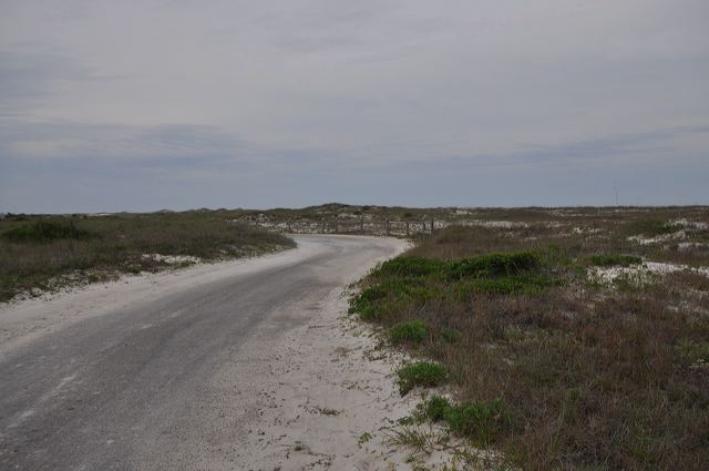 dsc_0388.jpg