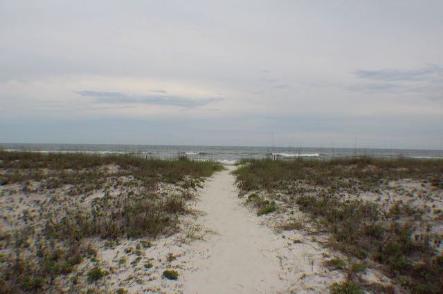 img_8425.jpg