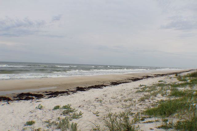 img_8433.jpg