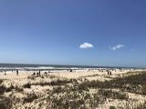 img_1985