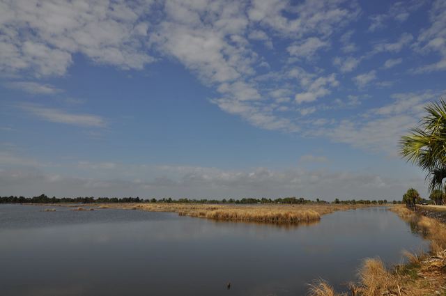 dsc_0341.jpg