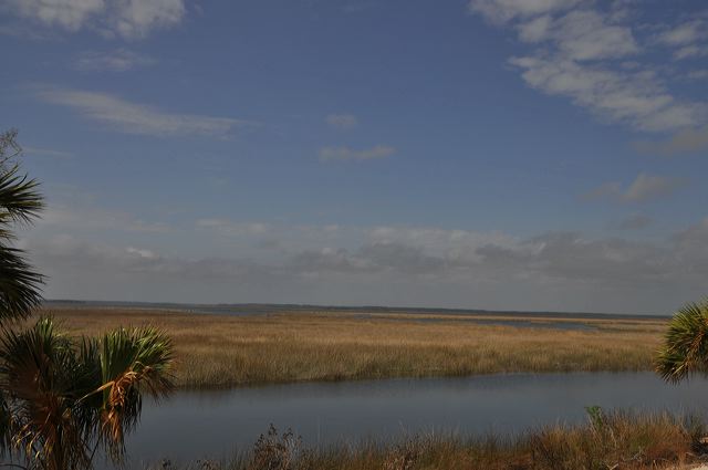 dsc_0342.jpg
