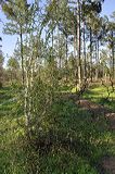 002012_file_065