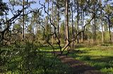 002012_file_067