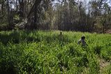 002012_file_080
