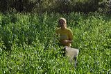 002012_file_081