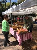 img_1706
