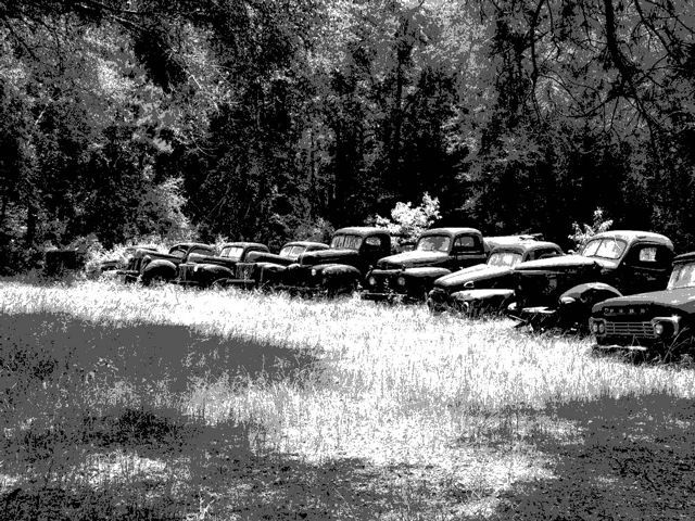 trucks1b.jpg