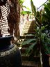 dscn0356