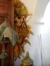 dscn0365