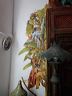 dscn0367