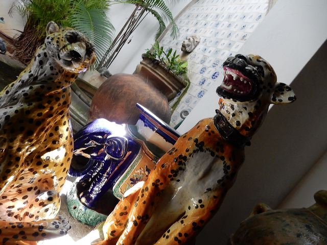 dscn0371.jpg