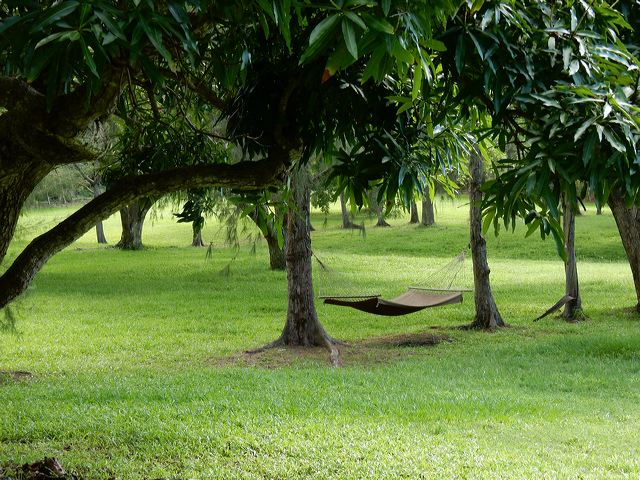 dscn0458.jpg