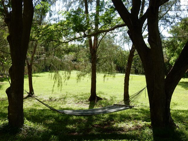 dscn0465.jpg