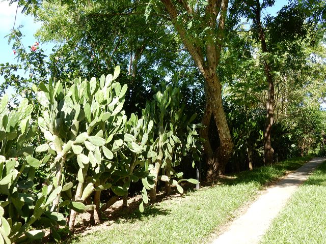 dscn0473.jpg