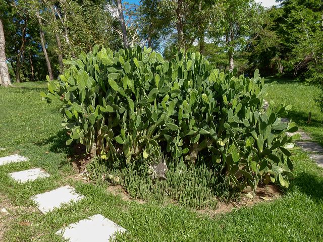 dscn0482.jpg