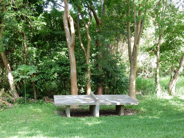 dscn0496.jpg