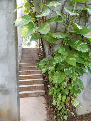 dscn0500.jpg