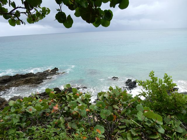 dscn0560.jpg