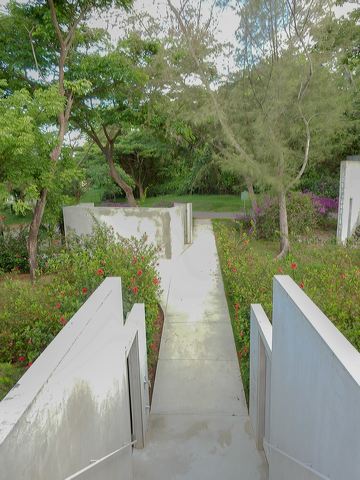 dscn0453-b.jpg