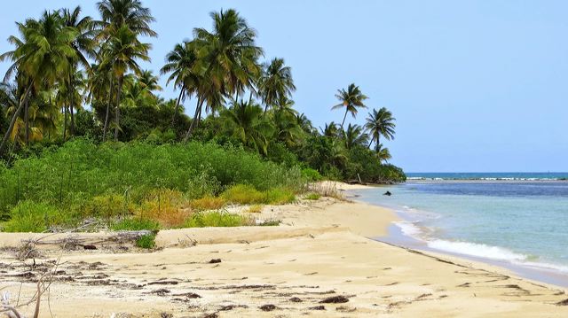 isleta_ramos_70.jpg