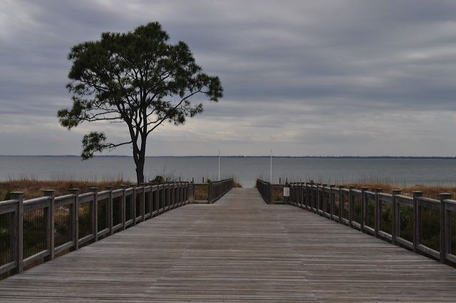 dsc_0701.jpg