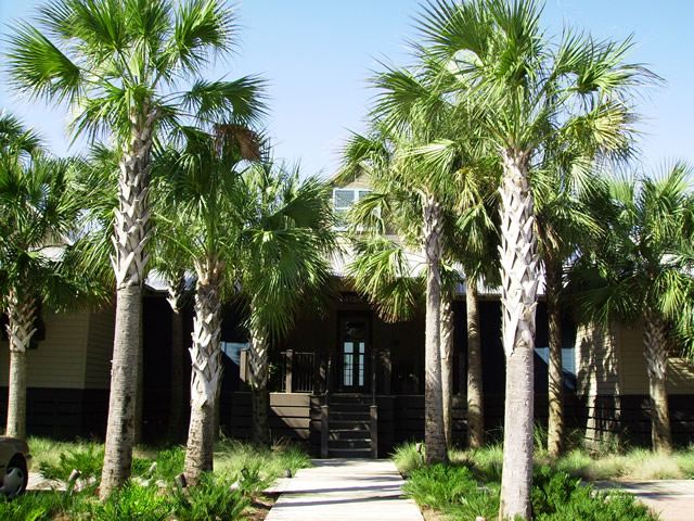 imgp0145.jpg