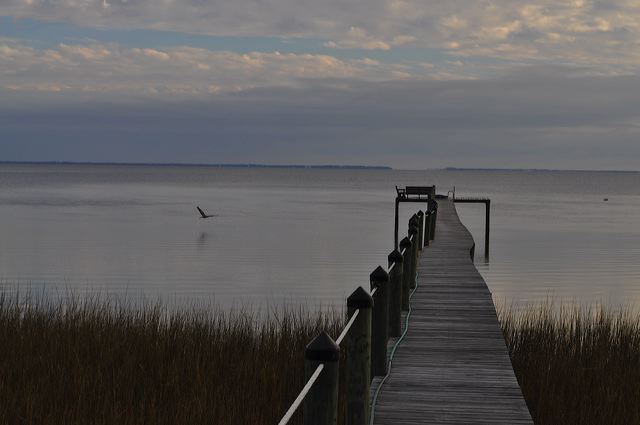 dsc_1087.jpg