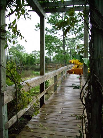 imgp0682.jpg