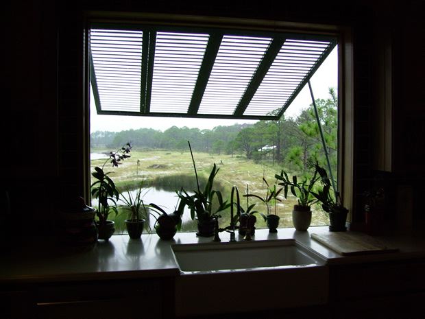 imgp0734.jpg