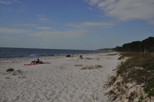 dsc_0290.jpg