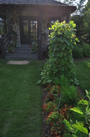dsc_0372.jpg
