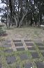 oooonew_2011_218