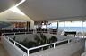 oooonew_2011_335