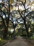 img_6885