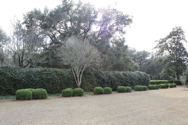 7516767856_img_2017.jpg