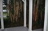 050_central_florida_286