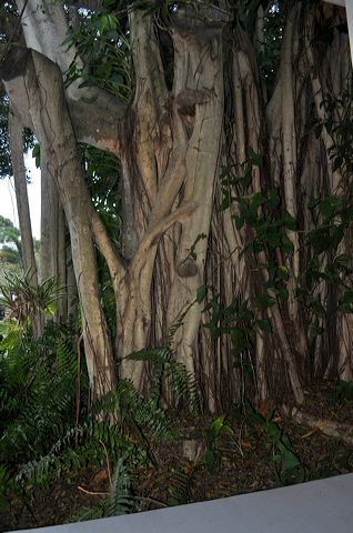 050_central_florida_281.jpg