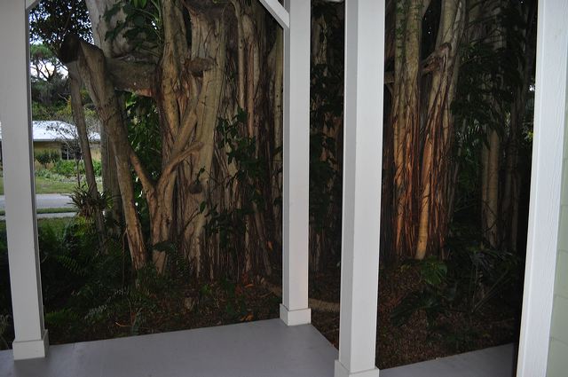 050_central_florida_286.jpg