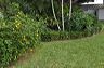 050_central_florida_145