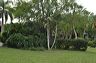 050_central_florida_146