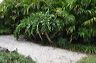 050_central_florida_152