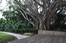 050_central_florida_157