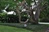 050_central_florida_197
