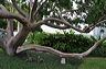 050_central_florida_202