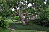 050_central_florida_213